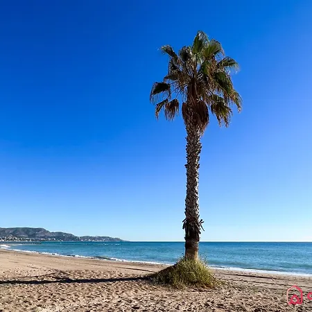 Palmas Benicàssim