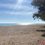 Palmas *