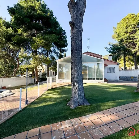 Palmas Benicàssim
